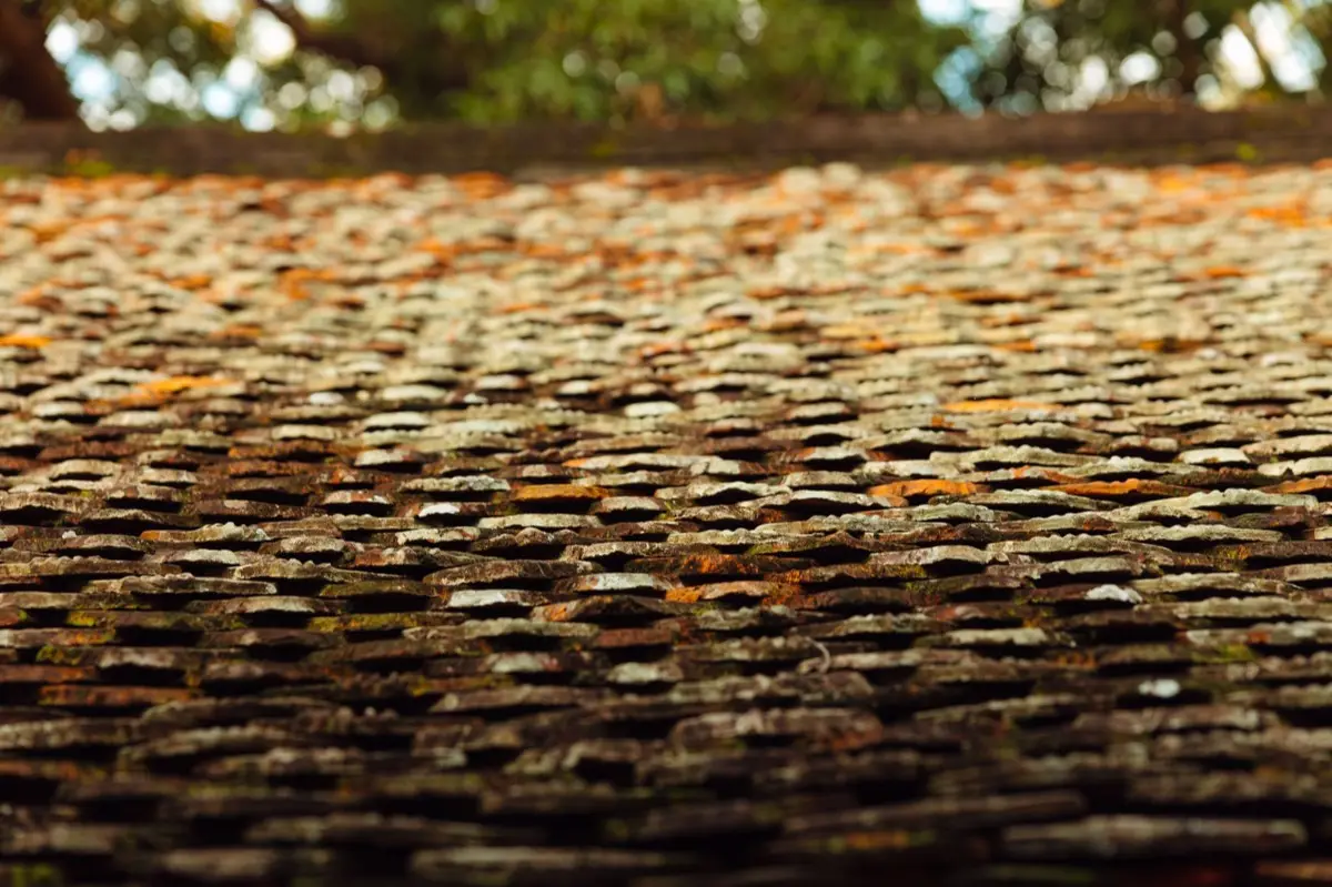 Aging shingle roof with moss growth and granule loss in Jackson, MS